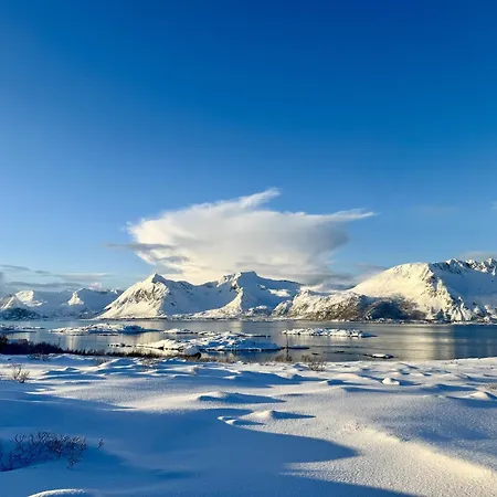 Lyngvaer Aurora Lodge - Jacuzzi - No 03 別荘 *