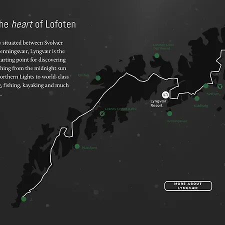 Tatil Evi Lofoten Aurora *