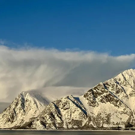 Lofoten Aurora
