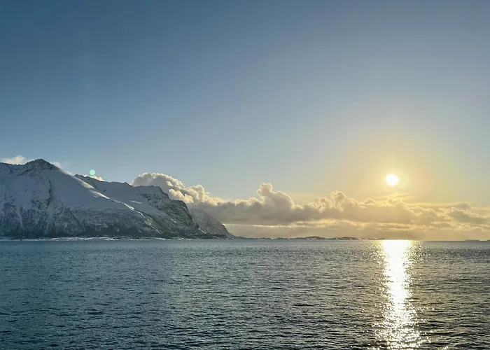 Сasa de vacaciones Lyngvaer Aurora - Jacuzzi - No 03